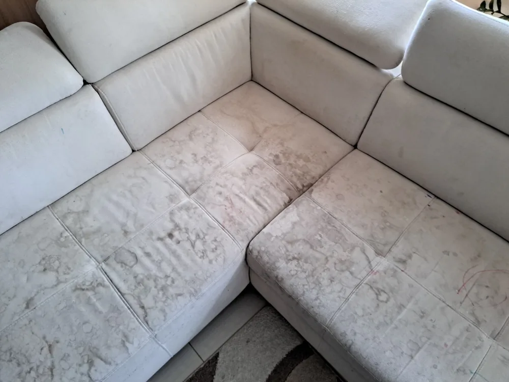Cremefarbenes Ecksofa mit flächiger Verschmutzung auf Sitz und Rückenlehne